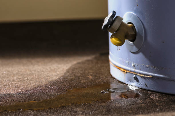Carpet water damage restoration in West Melbourne, FL
