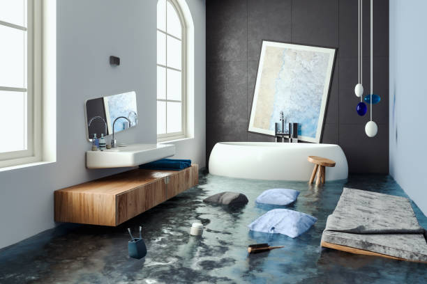 Best Mold removal after water damage  in West Melbourne, FL