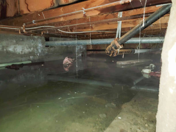 Best Residential water damage restoration  in West Melbourne, FL