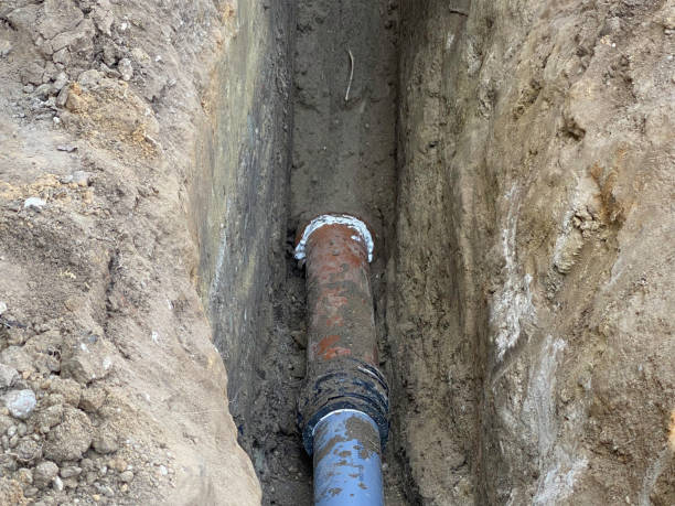 Best Flood damage cleanup  in West Melbourne, FL