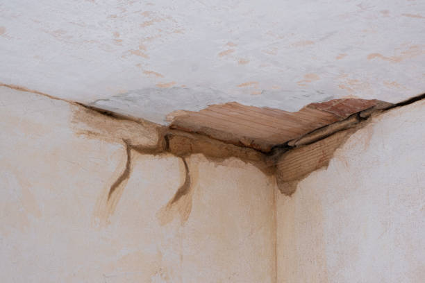 Best Basement water damage restoration  in West Melbourne, FL