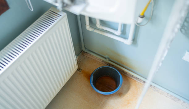 Best Carpet water damage restoration  in West Melbourne, FL