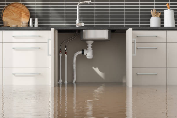 Best Local water damage restoration  in West Melbourne, FL