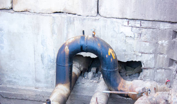 Best Water damage cleanup near me  in West Melbourne, FL