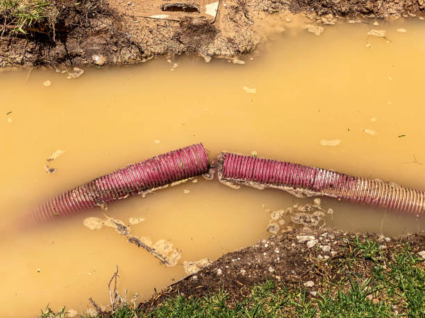 Best Professional water damage repair  in West Melbourne, FL