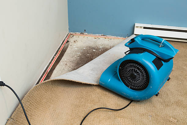 Best 24/7 water damage repair  in West Melbourne, FL